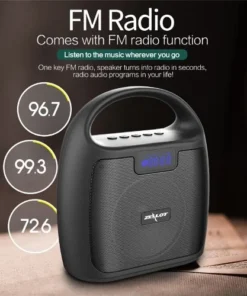 Zealot S42 Portable Bluetooth Speakers With Fm Radio